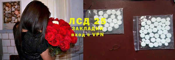 спайс Алзамай