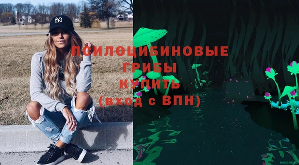 спайс Алзамай