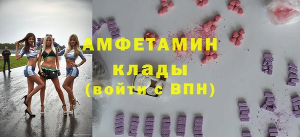 шишки Алексин