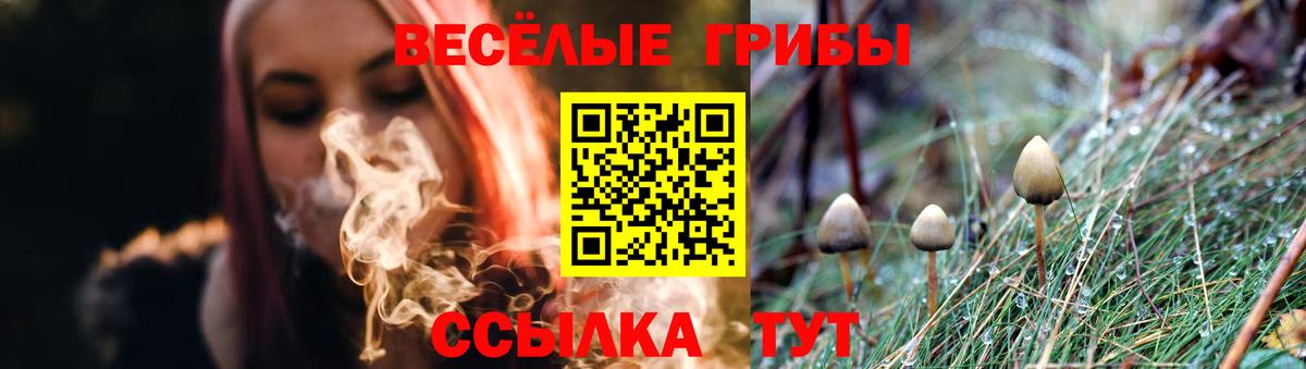 как найти закладки  Галлюциногенные грибы мухоморы  Геленджик  Вход с VPN  Галлюциногенные грибы Cubensis 